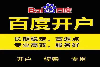 SEM运营公司案例解析：效果营销之道